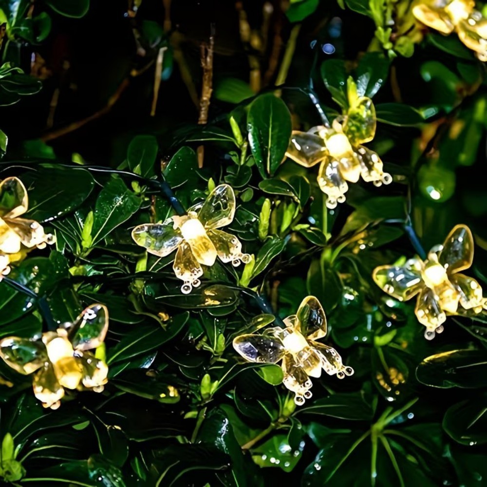 Crystal Butterfly Outdoor Fair - Outdoor Power For Wedding recension och pris